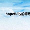 hopefully的意思