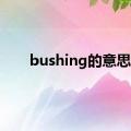 bushing的意思