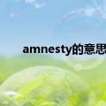 amnesty的意思