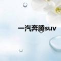 一汽奔腾suv