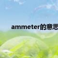 ammeter的意思