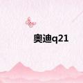 奥迪q21