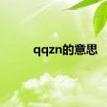 qqzn的意思