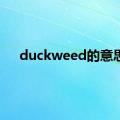 duckweed的意思