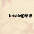 bristle的意思