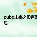 pubg未来之役官网的意思