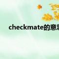 checkmate的意思