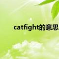 catfight的意思