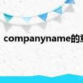 companyname的意思