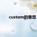 custom的意思