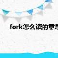 fork怎么读的意思