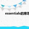 essentials的意思