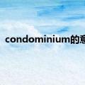 condominium的意思