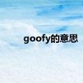 goofy的意思