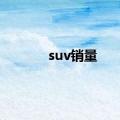 suv销量