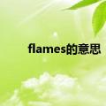 flames的意思