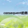 consequent的意思