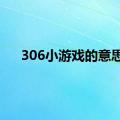 306小游戏的意思