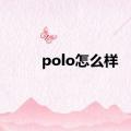 polo怎么样