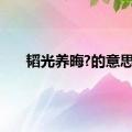 韬光养晦?的意思