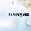 12月汽车销量