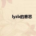 lyzb的意思