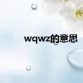 wqwz的意思