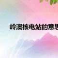 岭澳核电站的意思