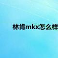 林肯mkx怎么样