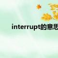 interrupt的意思