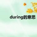 during的意思