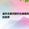 童孙未解供耕织也傍桑阴学种瓜的意思