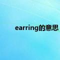 earring的意思