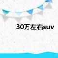 30万左右suv