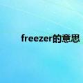 freezer的意思