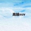 高端suv