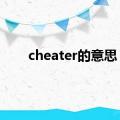 cheater的意思