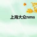 上海大众nms