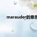 marauder的意思