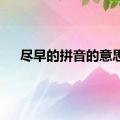 尽早的拼音的意思