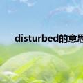 disturbed的意思