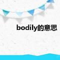 bodily的意思