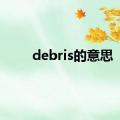 debris的意思