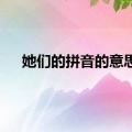 她们的拼音的意思