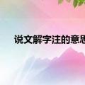 说文解字注的意思