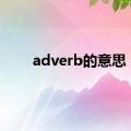 adverb的意思