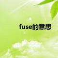 fuse的意思