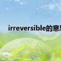 irreversible的意思