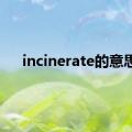 incinerate的意思