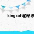 kingsoft的意思